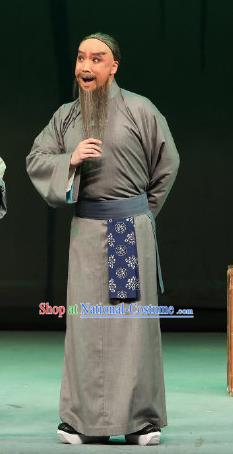 Inspector And Prince Chinese Peking Opera Civilian Male Garment Costumes and Headwear Beijing Opera Elderly Scholar Apparels Clothing