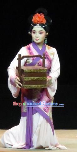 Chinese Ping Opera Palace Lady Apparels Costumes and Headpieces Traditional Pingju Opera Saving Orphan Xiaodan Cai Feng Dress Garment