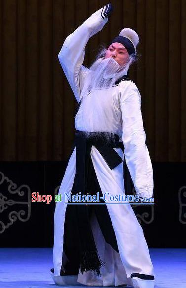 Bai Di Cheng Chinese Peking Opera Laosheng Liu Bei Garment Costumes and Headwear Beijing Opera Elderly Male Apparels Clothing