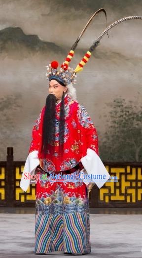 Daming Prefecture Chinese Peking Opera Old Man Garment Costumes and Headwear Beijing Opera Laosheng Apparels Elderly Male Clothing