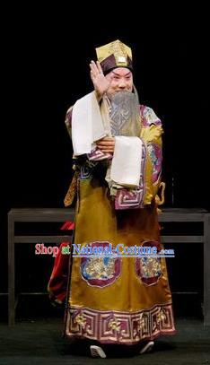 Shen Tou Ci Tang Chinese Peking Opera Elderly Male Garment Costumes and Headwear Beijing Opera Laosheng Apparels Official Lu Bing Clothing