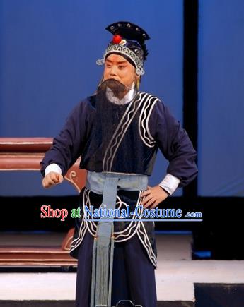 Wu Zetian Chinese Peking Opera Takefu Luo Binwang Garment Costumes and Headwear Beijing Opera Martial Male Apparels Old Man Clothing