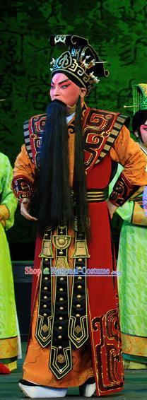 King Zhao Wuling Chinese Peking Opera Official Garment Costumes and Headwear Beijing Opera Elderly Male Apparels Chancellor Fei Yi Clothing