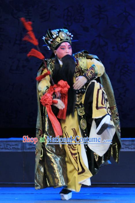 King Zhao Wuling Chinese Peking Opera Chancellor Fei Yi Garment Costumes and Headwear Beijing Opera Elderly Male Apparels Official Clothing