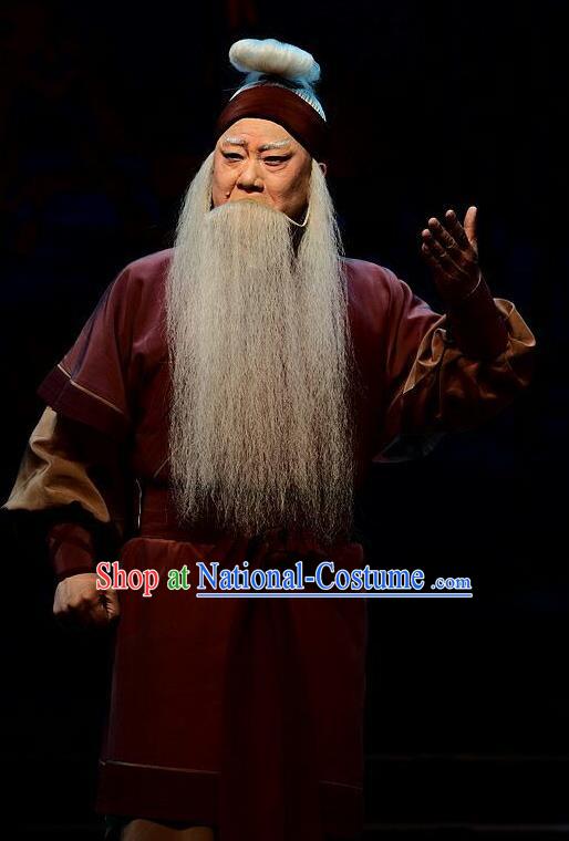 Qi Nv Wu Rong Chinese Peking Opera Laosheng Garment Costumes and Headwear Beijing Opera Elderly Male Apparels Clothing