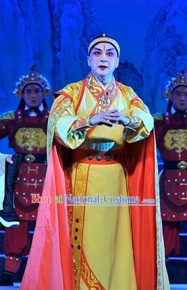 Qi Nv Wu Rong Chinese Peking Opera Xiaosheng Garment Costumes and Headwear Beijing Opera King of Zhao Apparels Young Male Clothing