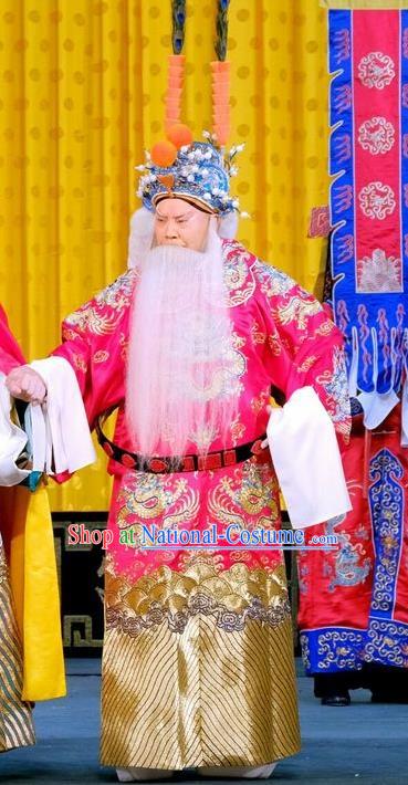 Zhu Lian Zhai Chinese Peking Opera Laosheng Apparels Costumes and Headpieces Beijing Opera Elderly Male Garment King Li Keyong Clothing