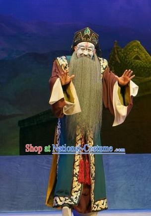 Princess Changping Chinese Peking Opera Jing Garment Costumes and Headwear Beijing Opera Elderly Male Apparels Clothing