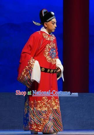 Princess Changping Chinese Peking Opera Official Garment Costumes and Headwear Beijing Opera Young Male Apparels Scholar Zhou Shixian Clothing