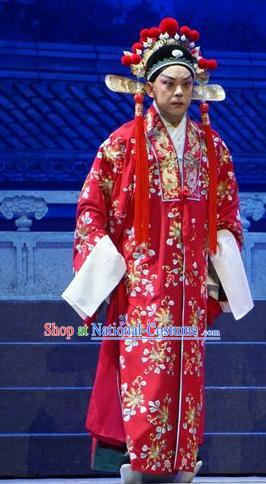 Princess Changping Chinese Peking Opera Bridegroom Garment Costumes and Headwear Beijing Opera Young Male Apparels Scholar Zhou Shixian Wedding Clothing