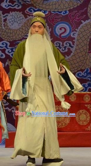 Shen Ting Ling Chinese Peking Opera Laosheng Apparels Costumes and Headpieces Beijing Opera Garment Old Man Clothing