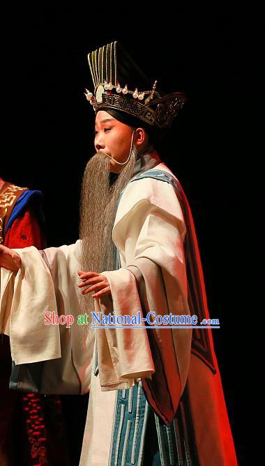 Xi Zi Zai Wang Chinese Peking Opera Old Man Apparels Costumes and Headpieces Beijing Opera Elderly Male Garment Preceptor Wu Zixu Clothing