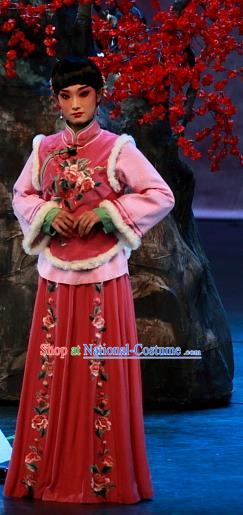 Chinese Beijing Opera Rich Lady Garment Luo Mei Yin Costumes and Hair Accessories Traditional Peking Opera Xiaodan Qin Dress Young Beauty Apparels