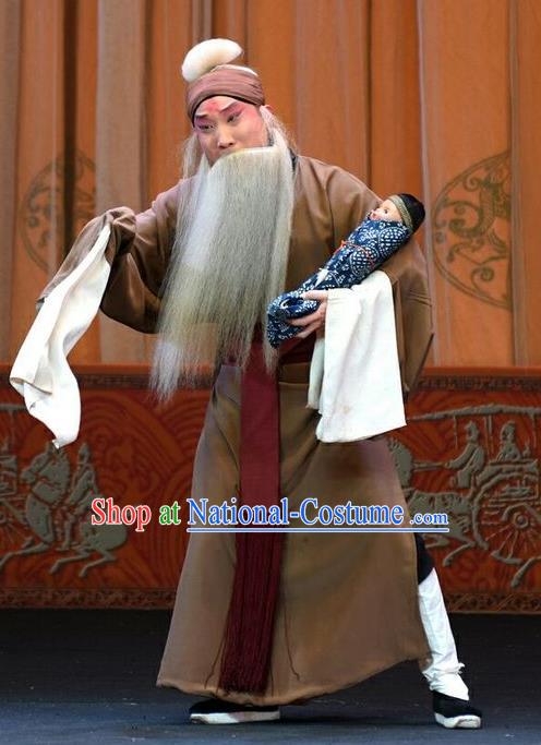 Li Sanniang Chinese Peking Opera Laosheng Apparels Costumes and Headpieces Beijing Opera Elderly Male Garment Clothing