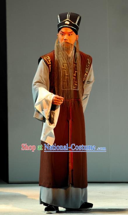 Tang Wan Chinese Peking Opera Poet Lu You Apparels Costumes and Headpieces Beijing Opera Elderly Male Garment Laosheng Clothing