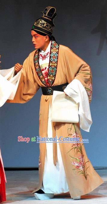 Tang Wan Chinese Peking Opera Scholar Apparels Costumes and Headpieces Beijing Opera Poet Lu You Garment Young Male Clothing