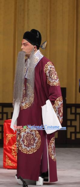 Jin Yunu Chinese Peking Opera Elderly Male Apparels Costumes and Headpieces Beijing Opera Official Garment Laosheng Lin Run Clothing