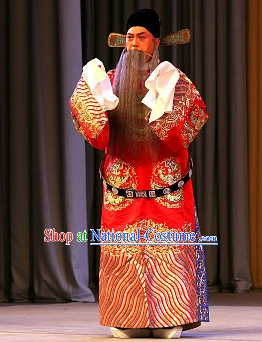 Jin Yunu Chinese Peking Opera Official Lin Run Apparels Costumes and Headpieces Beijing Opera Elderly Male Garment Python Embroidered Robe Clothing