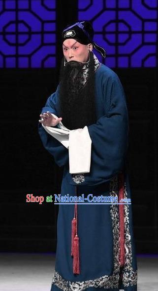 Xiang Lian Case Chinese Peking Opera Laosheng Apparels Costumes and Headpieces Beijing Opera Scholar Garment Elderly Male Chen Shimei Clothing