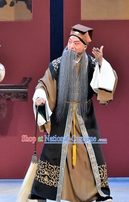 Ming City Wall Chinese Peking Opera Laosheng Apparels Costumes and Headpieces Beijing Opera Elderly Male Garment Taoist Clothing