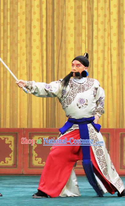 Bai Shui Tan Chinese Peking Opera Swordsman Liu Renjie Apparels Costumes and Headpieces Beijing Opera Wusheng Garment Takefu Clothing