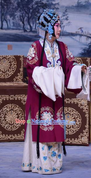 Chinese Beijing Opera Young Female Garment Costumes and Hair Accessories The Jade Hairpin Traditional Peking Opera Hua Tan Dress Diva Zhang Yuzhen Apparels