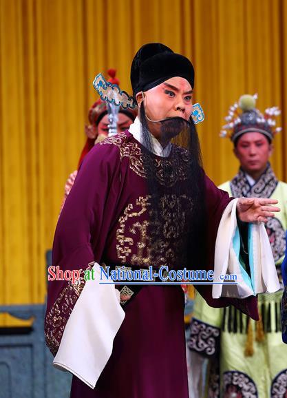 Zeng Ti Pao Chinese Peking Opera Old Man Apparels Costumes and Headpieces Beijing Opera Official Zhang Lu Garment Clothing