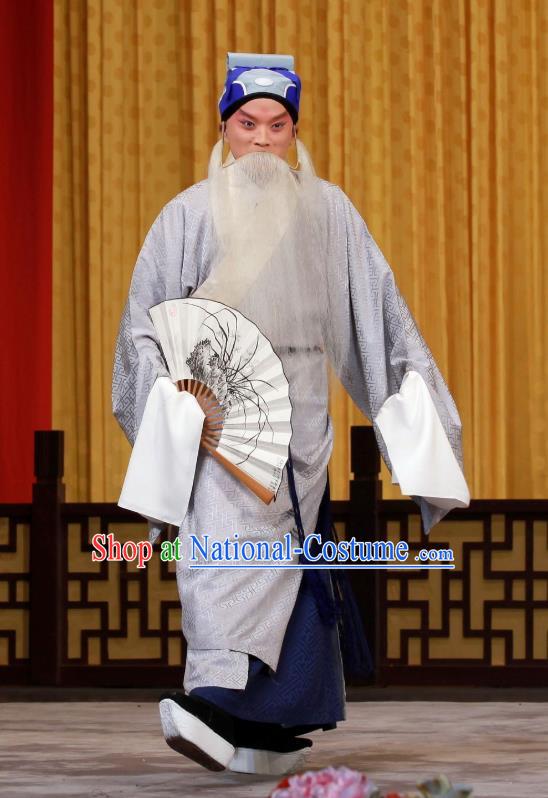 Ying Tian Qiu Chinese Peking Opera Elderly Male Apparels Costumes and Headpieces Beijing Opera Laosheng Garment Prefecture Wang Jun Clothing