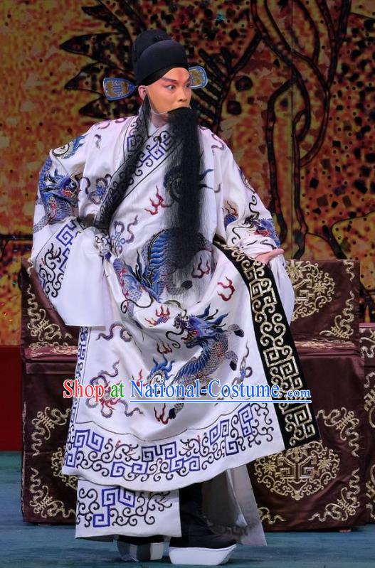 Ding Sheng Chun Qiu Chinese Peking Opera Elderly Man Wu Yuan Apparels Costumes and Headpieces Beijing Opera Martial Male Garment Takefu Clothing