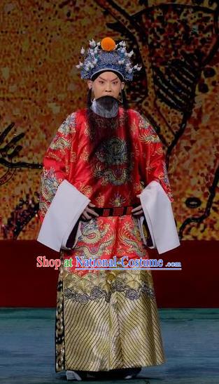 Ding Sheng Chun Qiu Chinese Peking Opera Laosheng Apparels Costumes and Headpieces Beijing Opera Elderly Male Garment King Clothing