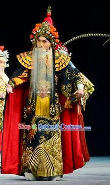 The Tiger Generals Chinese Peking Opera Lord Li Keyong Apparels Costumes and Headpieces Beijing Opera Elderly Male Garment King Clothing