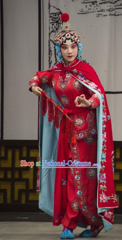 Chinese Beijing Opera Swordswoman Bao Jinhua Garment Costumes and Hair Accessories Long Tan Bao Luo Traditional Peking Opera Actress Dress Martial Female Apparels