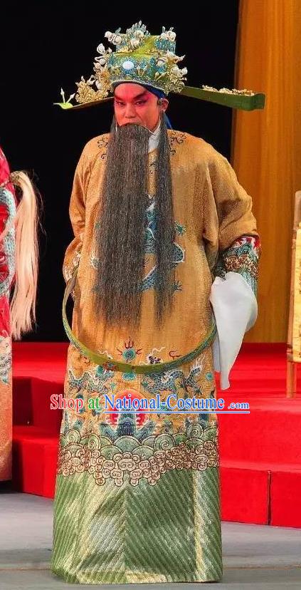 Tai Hou Gai Jia Chinese Sichuan Opera Chancellor Apparels Costumes and Headpieces Peking Opera Elderly Male Garment Prime Minister Clothing