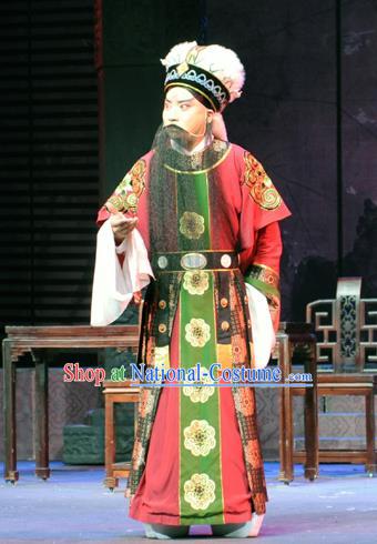 Bei Feng Jin Chinese Peking Opera Official Shi Yisheng Apparels Costumes and Headpieces Beijing Opera Laosheng Garment Elderly Male Clothing