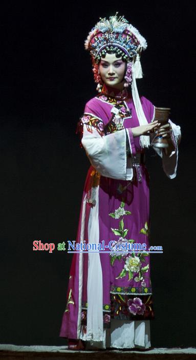 Chinese Beijing Opera Queen Garment Consort Bai Jie Costumes and Hair Accessories Traditional Peking Opera Diva Dress Hua Tan Purple Apparels