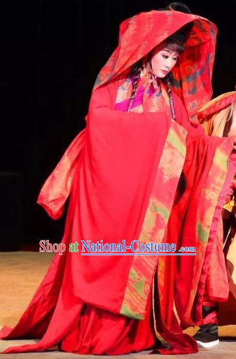 Chinese Sichuan Opera Bride Pu Lan Costumes and Hair Accessories Yu Hai Kuang Chao Traditional Peking Opera Hua Tan Red Dress Actress Apparels