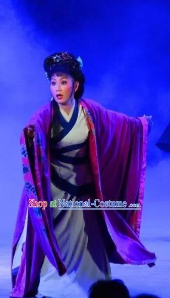 Chinese Sichuan Opera Young Female Costumes and Hair Accessories Yu Hai Kuang Chao Traditional Peking Opera Actress Pu Lan Dress Distress Maiden Apparels