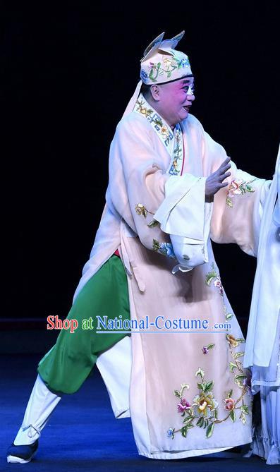 Zhao Jintang Chinese Ping Opera Treacherous Male Song Cheng Garment Costumes and Headwear Pingju Opera Bully Apparels Clothing