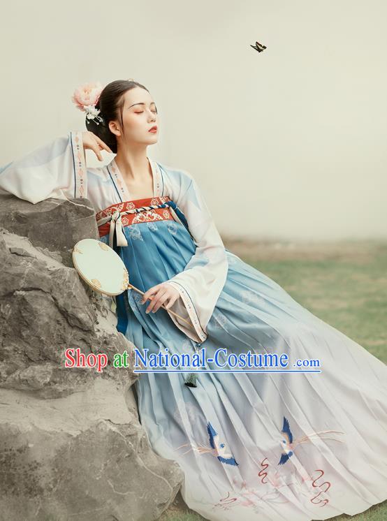 Chinese Ancient Noble Infanta Embroidered Hanfu Dress Traditional Tang Dynasty Royal Princess Historical Costumes Court Lady Garment