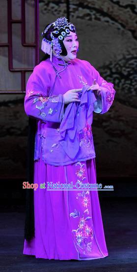 Chinese Ping Opera Elderly Female Apparels Costumes and Headpieces Zhao Jintang Traditional Pingju Opera Aunt Song Dress Garment