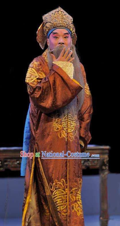 Xue Baochai Chinese Sichuan Opera Elderly Male Apparels Costumes and Headpieces Peking Opera Laosheng Garment Landlord Clothing