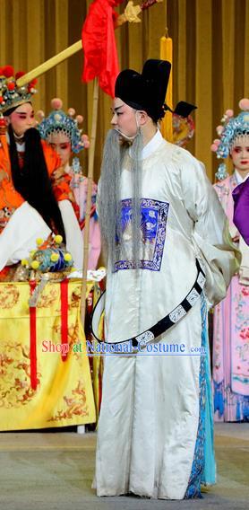 Jin Dian Shen La Chinese Sichuan Opera Official Apparels Costumes and Headpieces Peking Opera Elderly Male Garment Laosheng Clothing