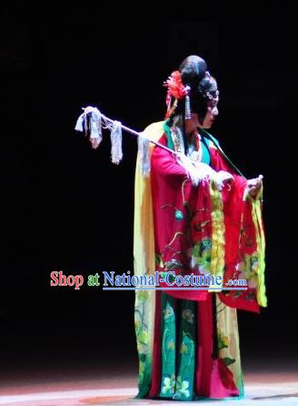 Chinese Sichuan Opera Actress Garment Costumes and Hair Accessories Traditional Peking Opera Li Yaxian Hua Tan Dress Courtesan Apparels