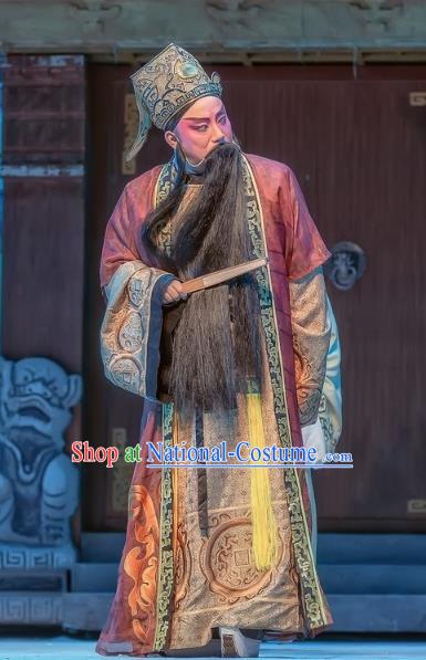 Bao En Ji Chinese Sichuan Opera Prefect Wen Datong Apparels Costumes and Headpieces Peking Opera Elderly Male Garment Laosheng Clothing