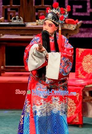 Qin Xianglian Chinese Sichuan Opera Laosheng Apparels Costumes and Headpieces Peking Opera Elderly Male Garment Scholar Chen Shimei Clothing