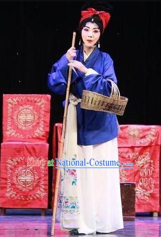 Chinese Sichuan Opera Female Beggar He Zhu Garment Costumes and Hair Accessories He Zhu Pei Traditional Peking Opera Servant Girl Dress Xiaodan Apparels