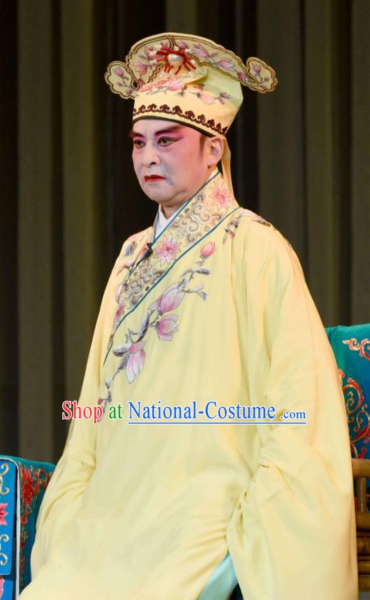 Fang You Chinese Sichuan Opera Niche Apparels Costumes and Headpieces Peking Opera Xiaosheng Garment Scholar Liang Shanbo Clothing