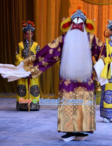 Da Bao Guo Er Jin Gong Chinese Peking Opera Laosheng Garment Costumes and Headwear Beijing Opera Elderly Male Yang Bo Apparels Clothing