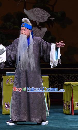 Sacrifice Zhao Shi Gu Er Chinese Peking Opera Laosheng Gongsun Chujiu Garment Costumes and Headwear Beijing Opera Elderly Man Apparels Clothing