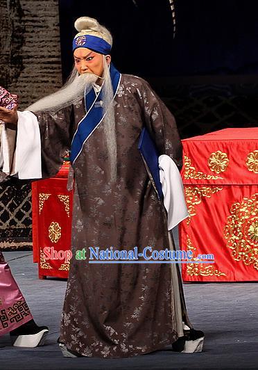 Sacrifice Zhao Shi Gu Er Chinese Peking Opera Cheng Ying Garment Costumes and Headwear Beijing Opera Laosheng Apparels Old Man Clothing